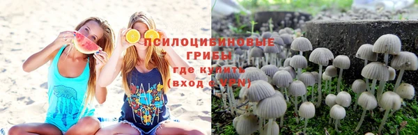 мескалин Гусиноозёрск