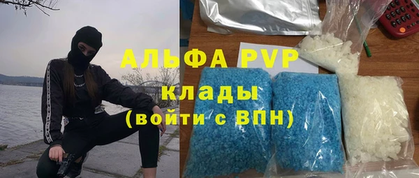 бошки Гусев